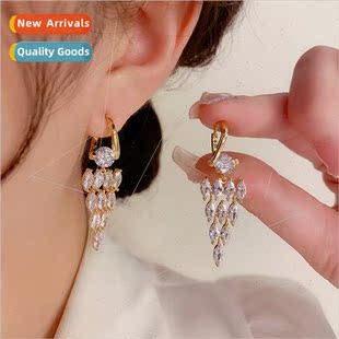 Koreafashion zirconia tassel earrings earrings niche super f