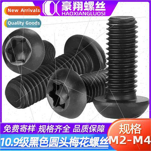 10.9 oxidized black hair round head cap screws cap screws M2