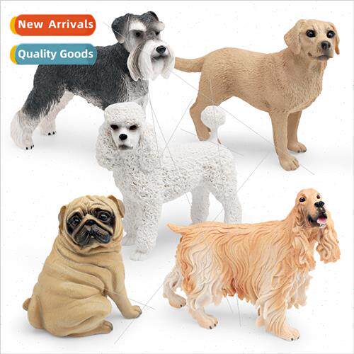 Pet dog dog animal model pug schnauzer poodle labrador Ameri