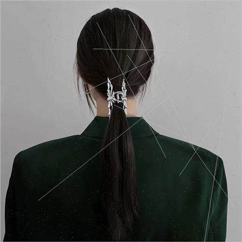 Animal Metal Spider Hair Clip Female Back Head Plate Hair Sh