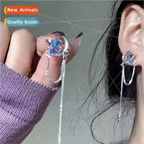 Hundreds tassel earrings female niche fashion purple zirconi