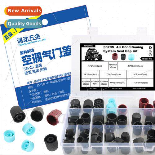 55pcs-11 kinds air-condioner valve cover fluoride nozzle air