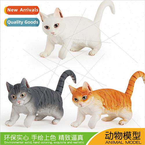 Solid animal cat model orange cat gray whe flower cat whe ca