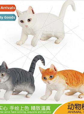Solid animal cat model orange cat gray whe flower cat whe ca