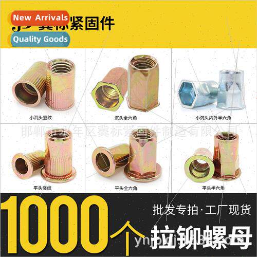 Color zinc plated rivet nut hexagonal flat head vertical str