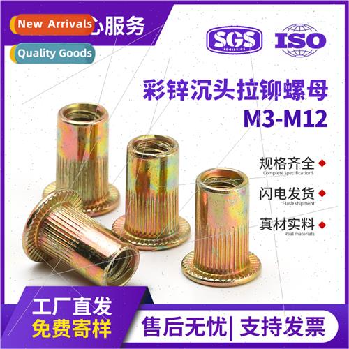 Iron color zinc plated rivet nut furnure flat head vertical