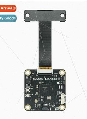 MFST40 BL808 Access Control Door Lock Binocular Face Recogni