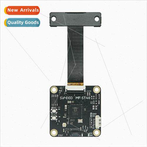 MFST40 BL808 Access Control Door Lock Binocular Face Recogni