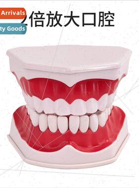 Oral health care dental model kindergarten teaching aids chi