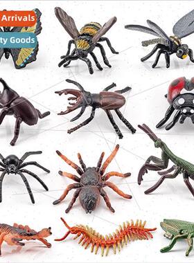 Children science teaching aids simulation insect world model