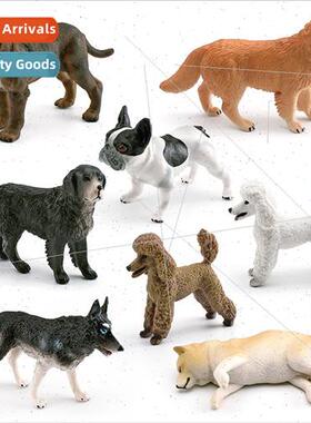 Dog animal model Golden Retriever Bulldog Poodle Newpollon d