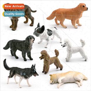 Dog animal model Golden Retriever Bulldog Poodle Newpollon d