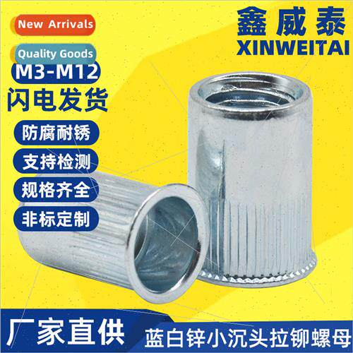 blue-whe zinc small countersunk head rivet nut small counter