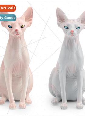 simulation animal pet cat model Canada hairless cat Sphinx c
