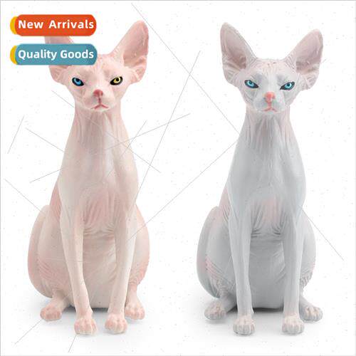 simulation animal pet cat model Canada hairless cat Sphinx c