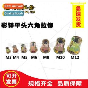 M3M4M5M6M8M10M12 rivet nuts hexagonal flat Color head zinc