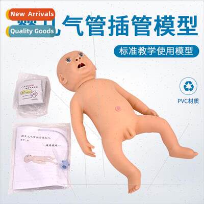 Cardiopulmonary resuscation simulator medical first aid trai
