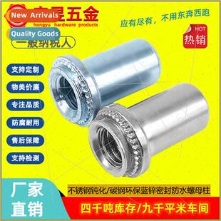 Stainless Nut Rivet Seal Iron Closed Steel WaterproPressure