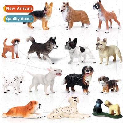 Children animal model miniature bulldog husky spotted dog se