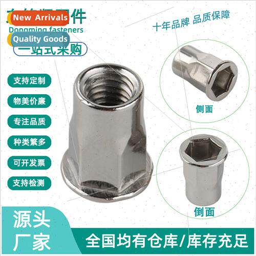 304 flat head half hexagonal rivet nut small internal extern