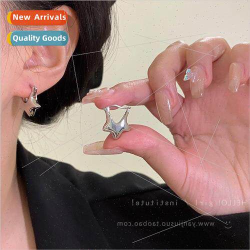 Cold wind simple star earrings female summer niche earrings