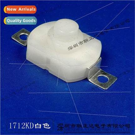 Whe torch swch 17*12mm LED lighting swch whe self-locking sw