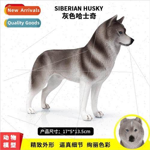 Solid animal husky model berian sled dog pet dog children to