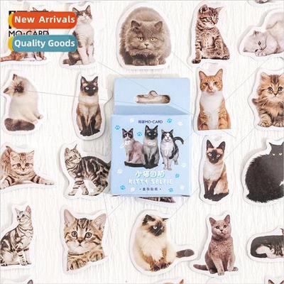 Kten selfie boxed stickers cartoon cute cat handbook album d