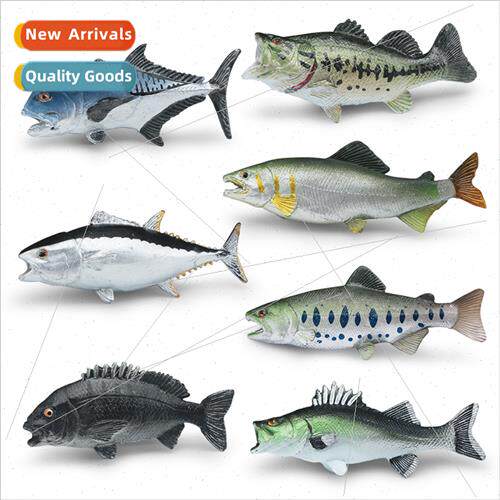 Marine animals real snapper cow harbor jack sea bass tuna sa