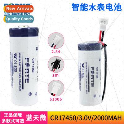 CR17450 Intelligent Water Meter Instrument Compass ion Gauge