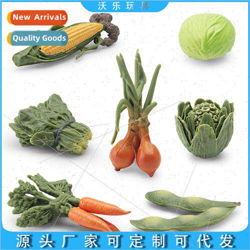 Vegetable Set Corn Cabbage Onion Hairy Bean Food Decoration