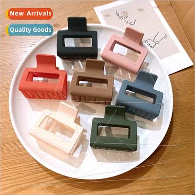 Koreasquare frosted hairpin top clip back head female disk h