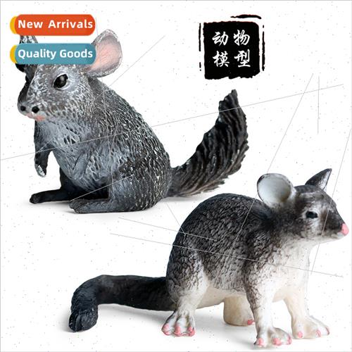 Children animal model rodent possum long-tailed woolly mouse