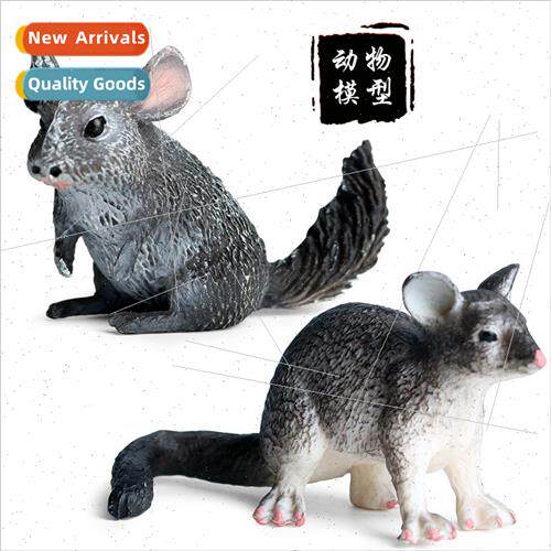 Children animal model rodent possum long-tailed woolly mouse