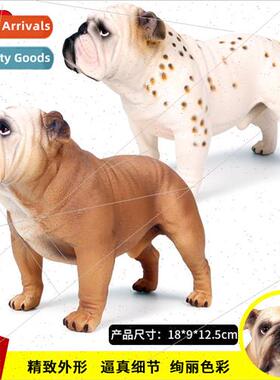 Wildlife solid static model large English bulldog pet dog ch