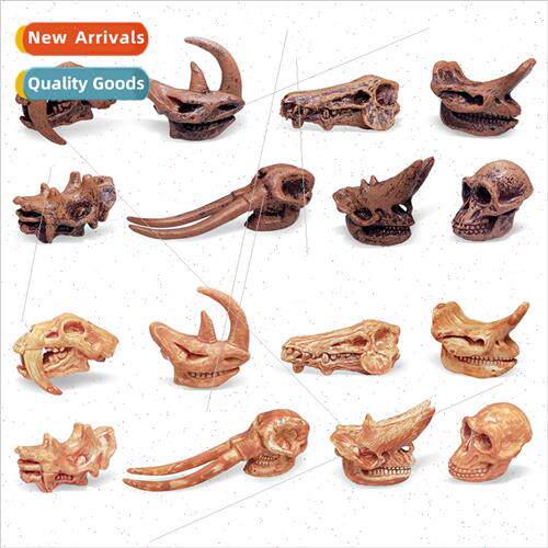 Miniature Prehistoric Mammal SkullsBig Horned ThunderboltMas