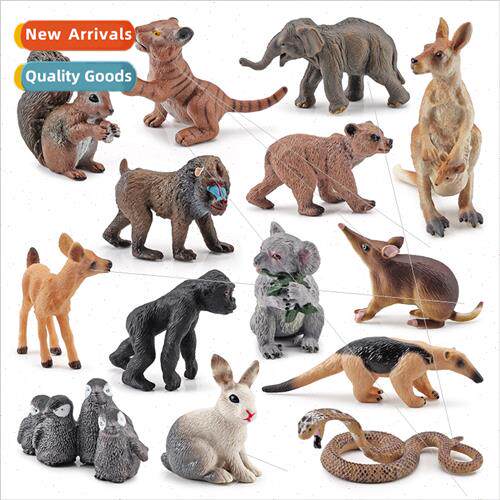 Brown bear whe-tailed deer anteater kangaroo koala tiger squ
