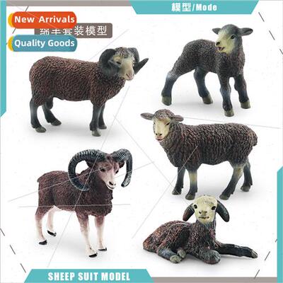 Poultry farm animals sheep model children cognive black shee