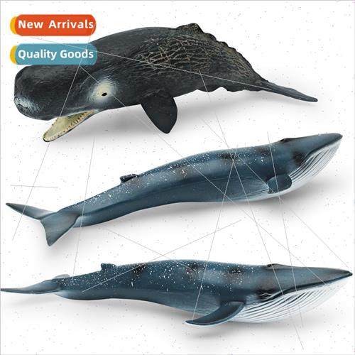 Whale Model Undersea Creatures Sperm Whale Blue Whale Deskto