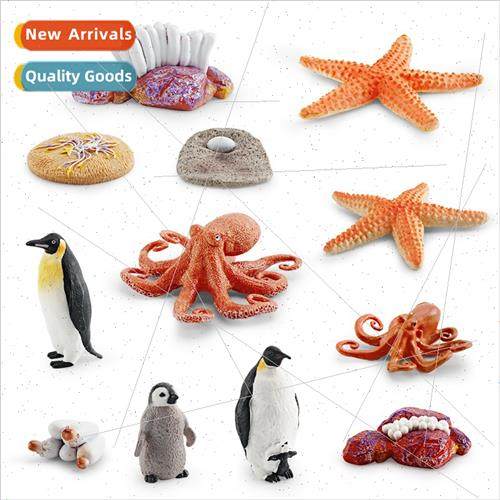 octopus starfish penguin life growth cycle ornament toy