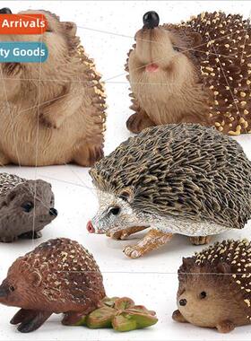 Children simulation wild hedgehog animal model science educa