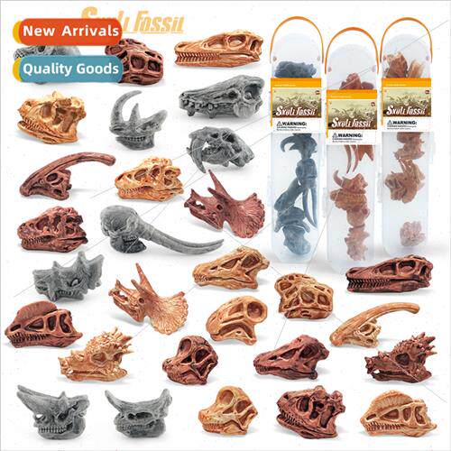 Mini dinosaur skull prehistoric animal skull model skeleton