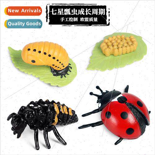Animal Growth Cycle Model Plastic Toys Seven Star Ladybug Bu