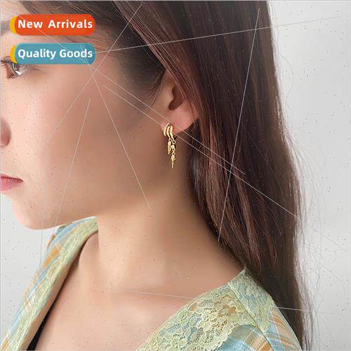 s925 silver earrings Europe popular accessories double layer