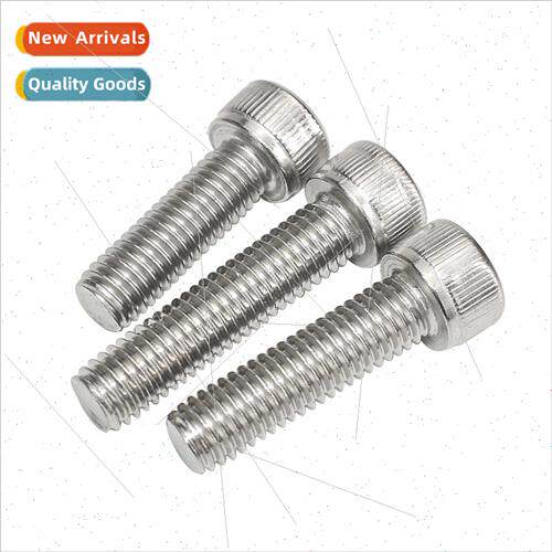 Extended hexagon socket head cap screws 304 cylindrical head