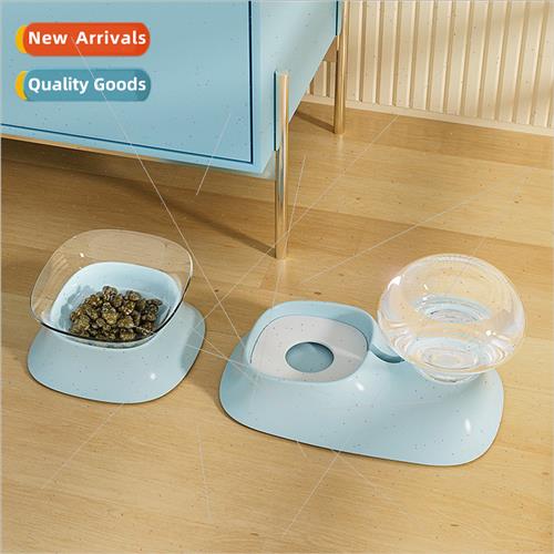 New translucent pet double bowl creative anti-tip cat feedin