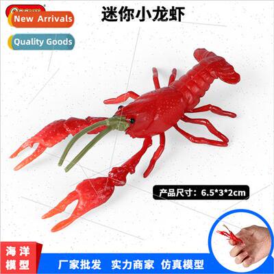 Solid marine freshwater crayfish red crayfish animal model d