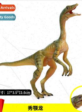 solid static dinosaur show jaw dragon model toys Tyrannosaur