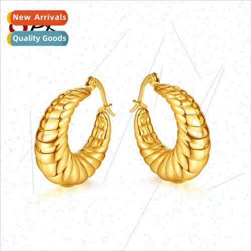 Fashion Irregular Tanium Steel Earrings Europe Gold Plated E