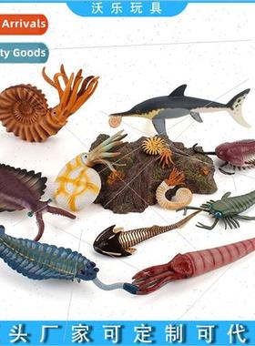 Ancient marine life model deep sea animal ornaments head tur